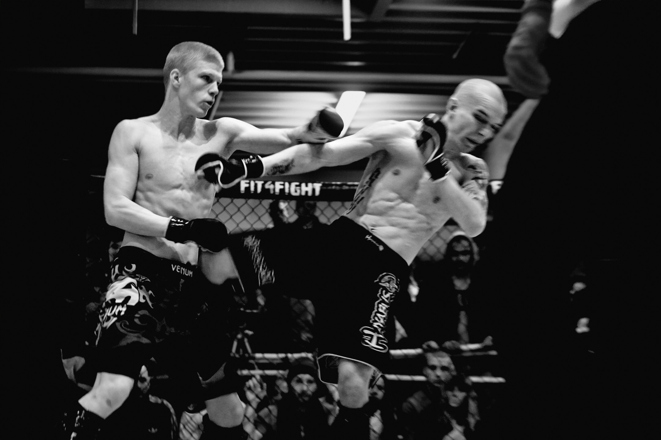 Live to fight another day origin image