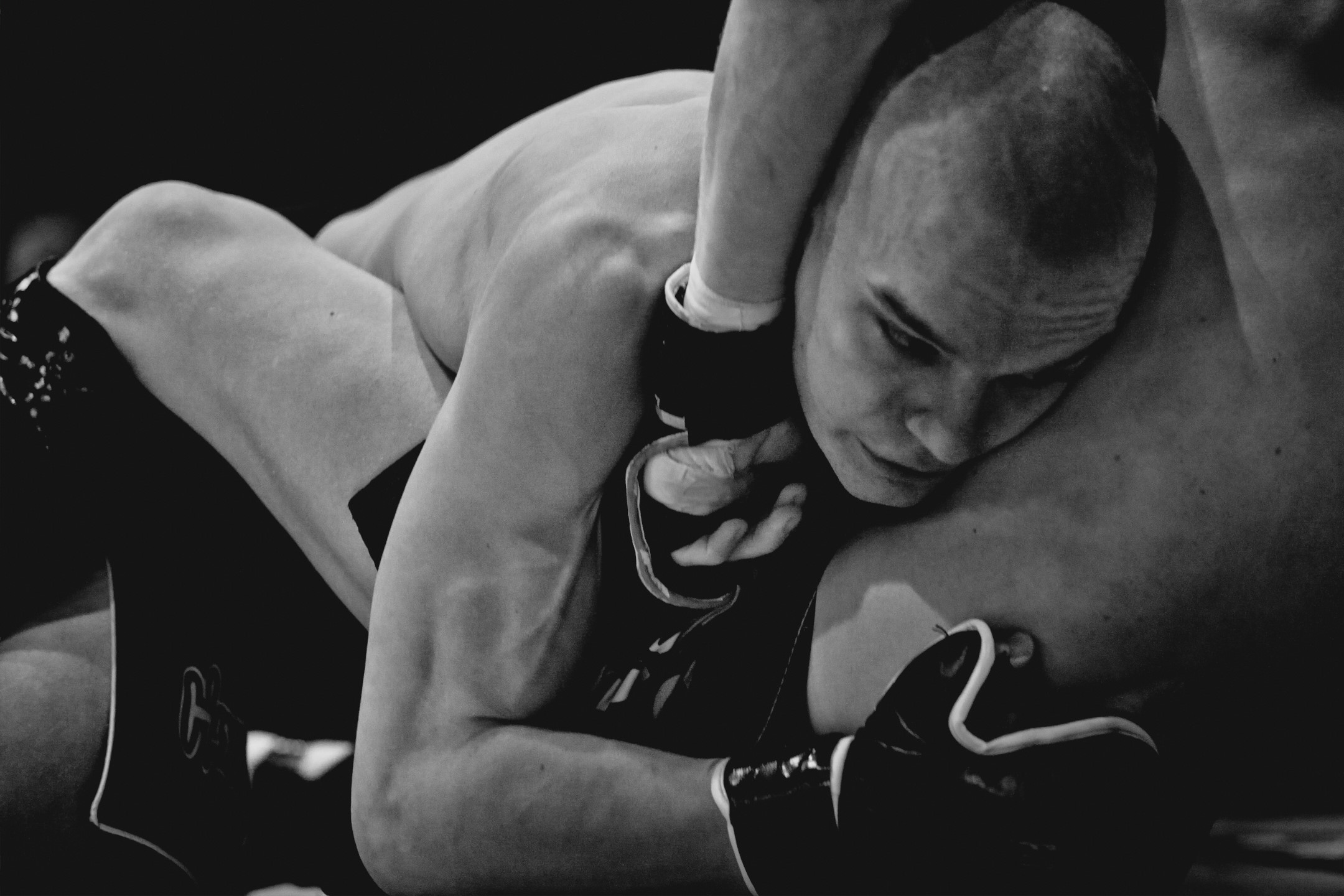 He who fights and runs away will live to fight another day picture